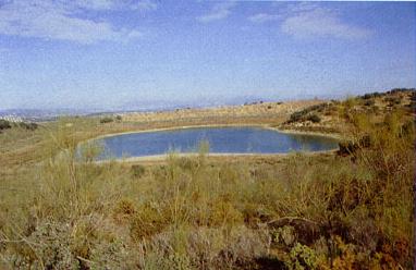 Laguna grande